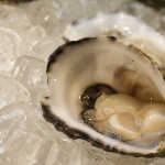 Oysters_by_Andy_Grljusich